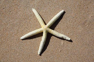 《对马岛之鬼》导剪版 近日将更新2.12 补丁